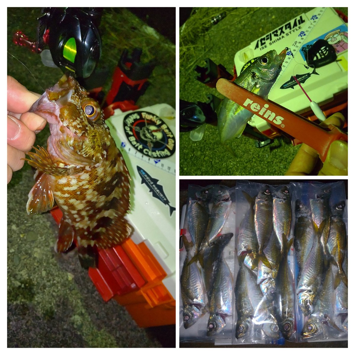 hanimal46's tweet image. 裏本命は不発、本命のサイズはチンマイ…
やっぱり超マイナーＰなだけはあったので

撤収ー！

#南方作戦
#お二人様