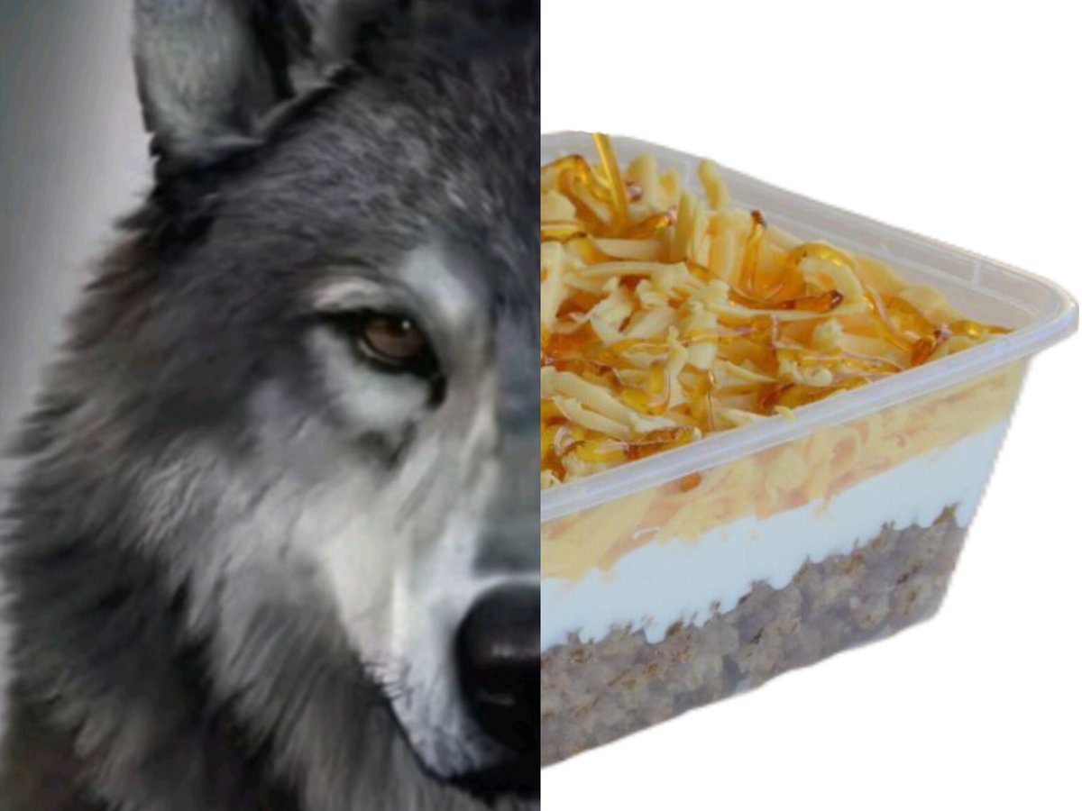 مـونـف (@monvey0) on Twitter photo 