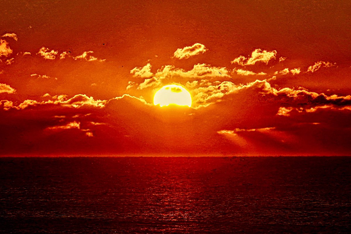 PaulSGundlach's tweet image. Happy Saturday! We had a mostly clear sky today but some low clouds provided a nice curtain for the sun to emerge from as it rose this morning. Tap for full size. I hope you have a great day!