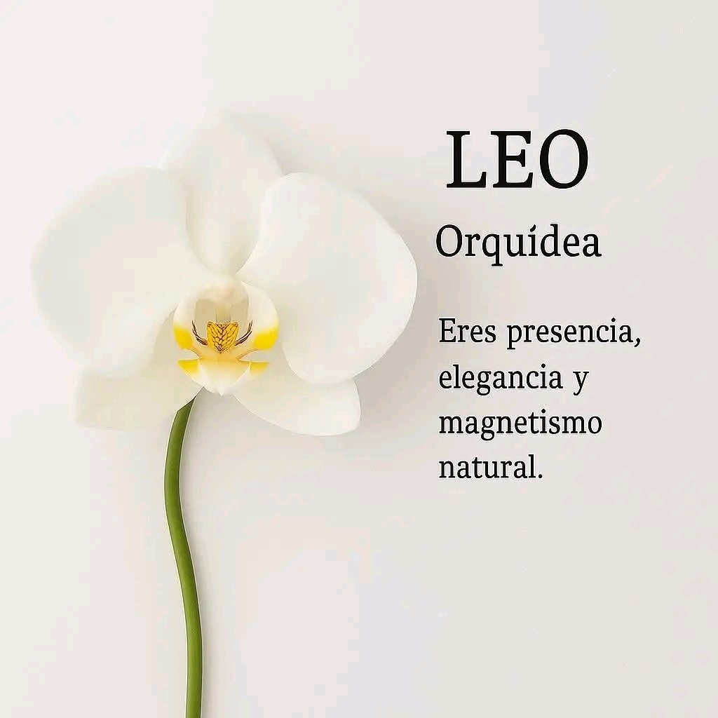 Orquídea Leo ♌🦁