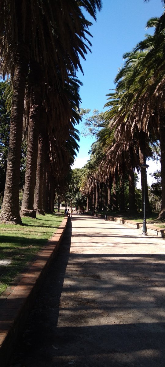 Lopezlaila1's tweet photo. #Dia333 #Rodó Park #Montevideo #Uruguay https://t.co/YTbd8Jh9r9