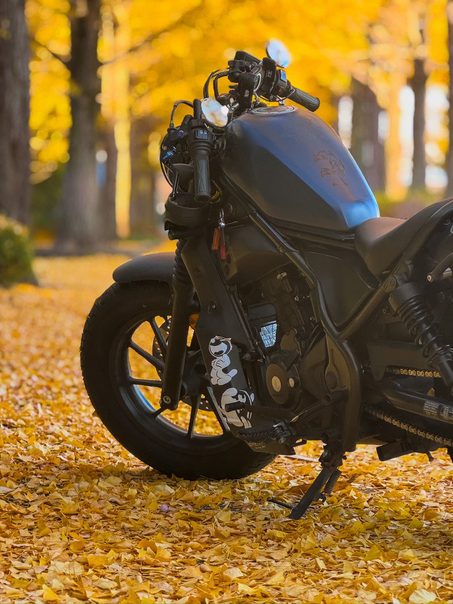 まな (@manamanaZ6) / Posts / X