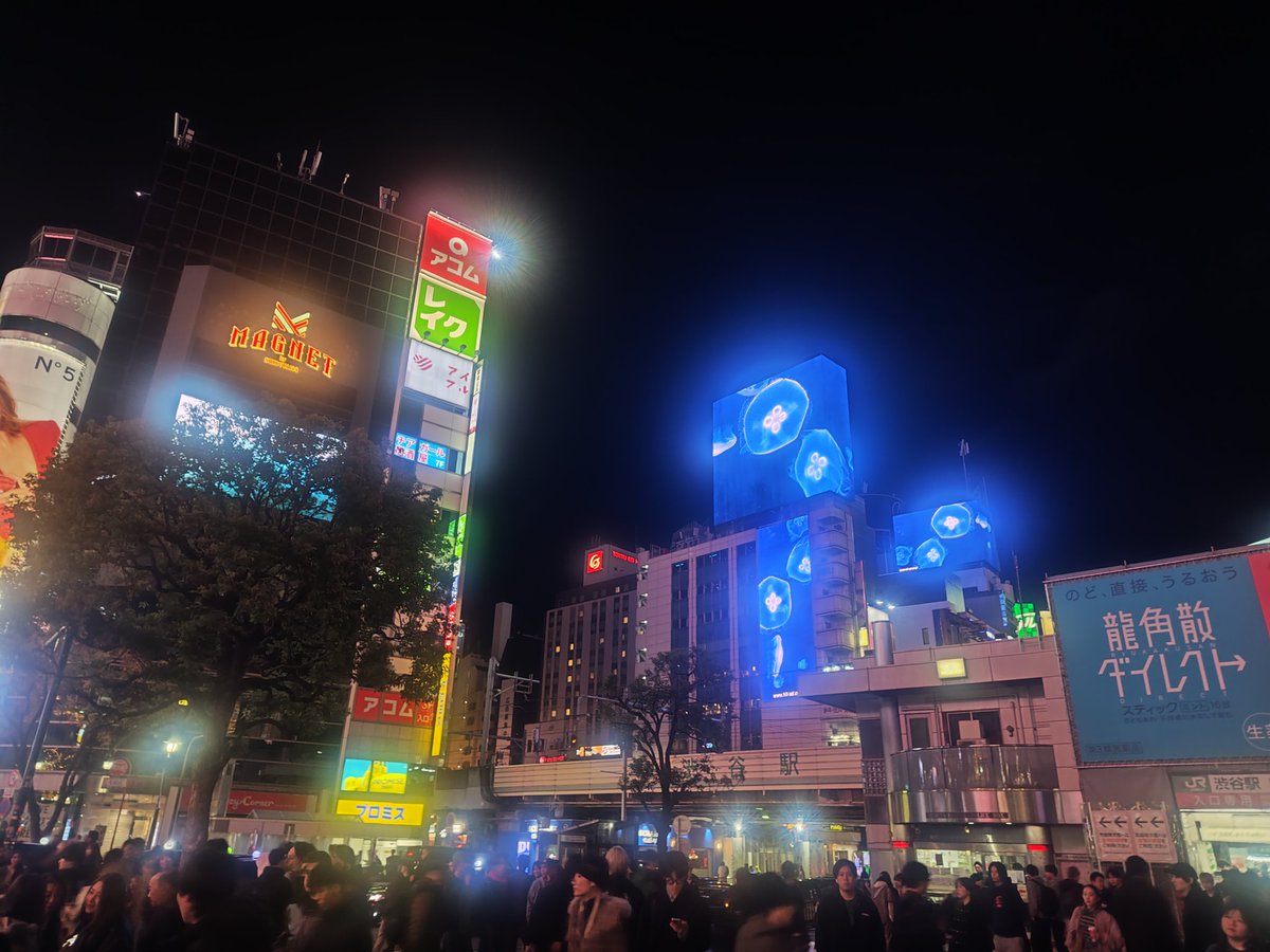 PerSdd's tweet image. 久しぶりに渋谷来たけど、工事されすぎててどこ歩いてるのか全くわからなくて難儀したにゃ……

ハチ公の像なんて、今まで楽に見つけられたのになぁ