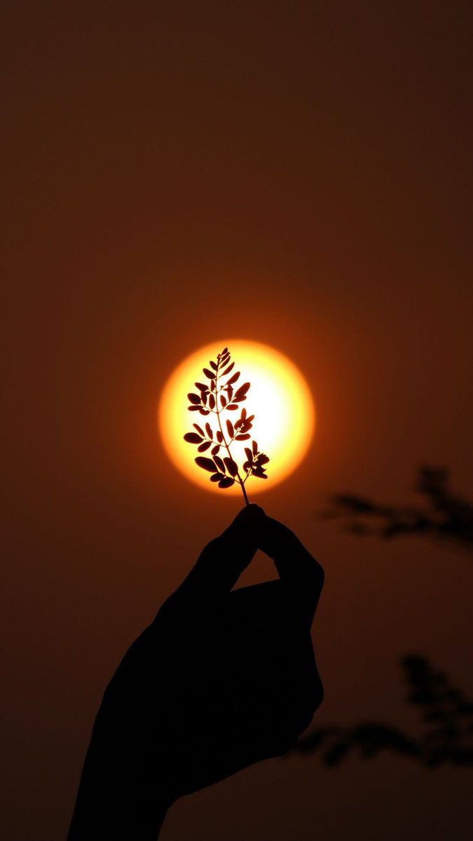 notebook_nature's tweet image. 