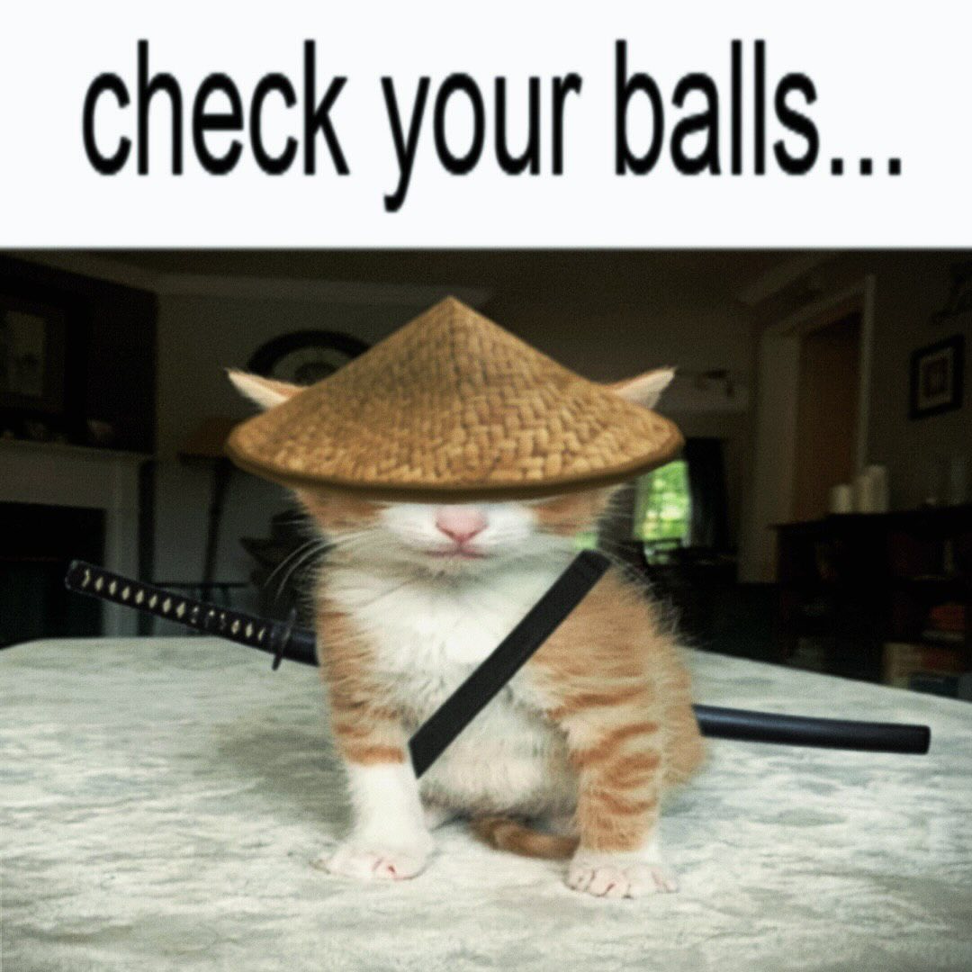 Catsillyness's tweet image. 