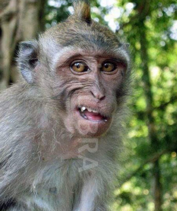 sabelostormz's tweet image. Sack these coaches now ,what kind of football is this #TotalEnergiesCAFCC