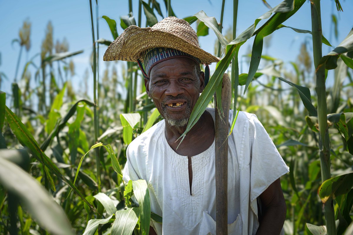 Alhaji Tanimum Musa, fondly called Sarkin Noma (King of Farmers), is more than a cultivator. At 68, he upholds a proud farming legacy passed down through generations. When insecurity and climate pressures worsened, he faced every farmer’s toughest choice, leaving his ancestral