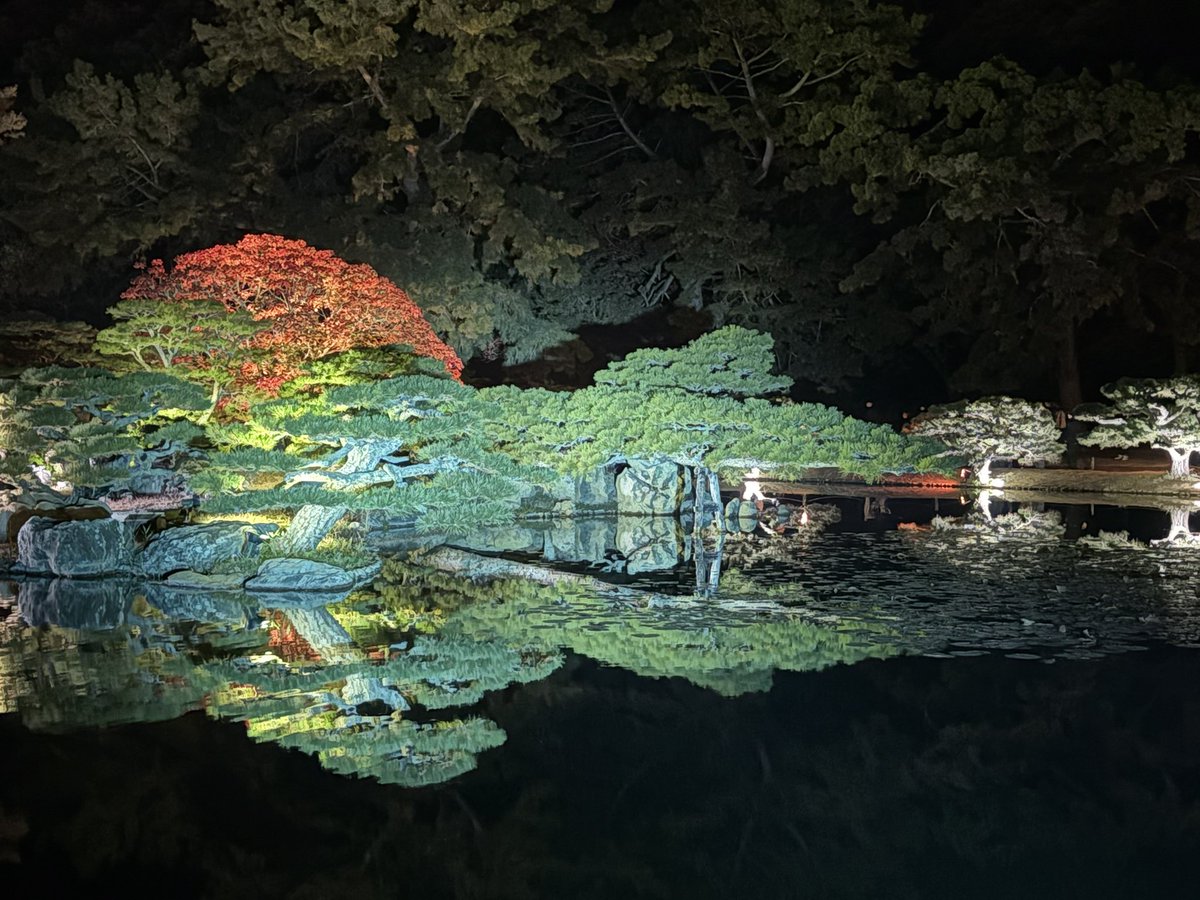 香川の紅葉綺麗でした🍁