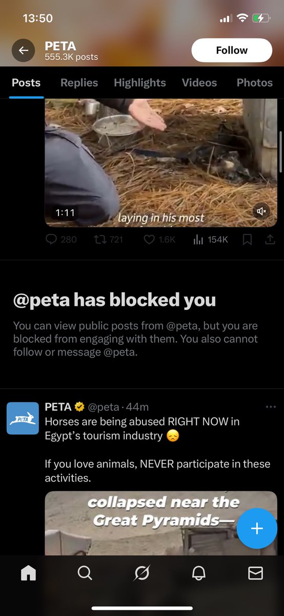 Maisie Poovey | Nixonite🦌🌸| tweet media