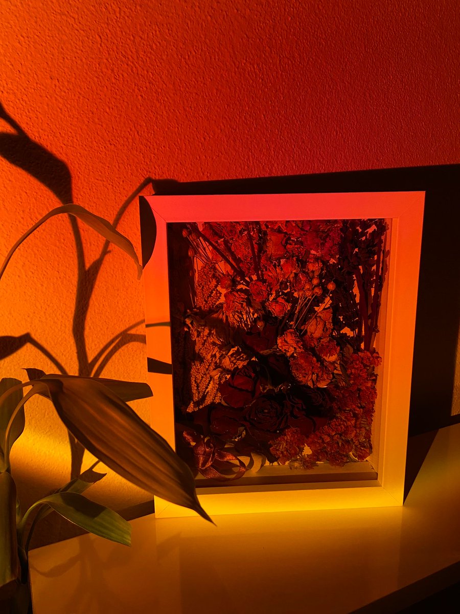 Bambaşka bir his ✨