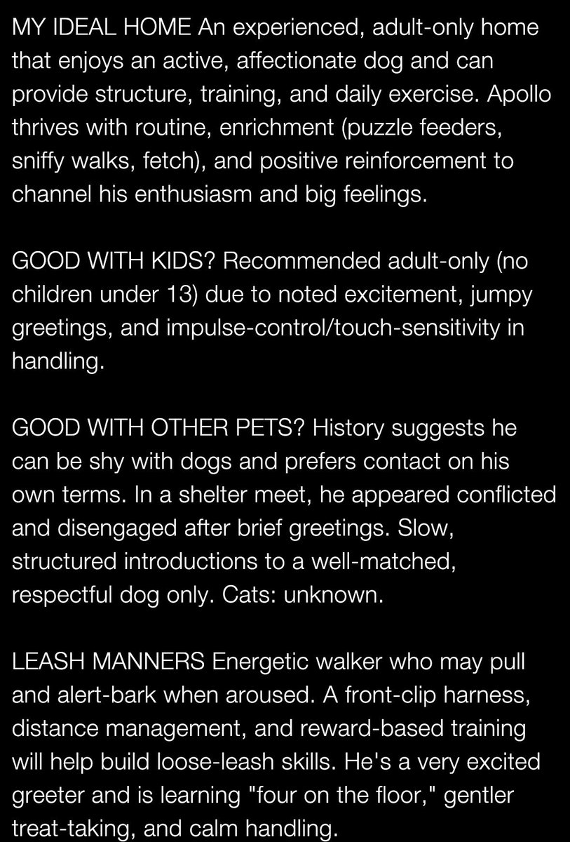 Dubs4Mutts's tweet image. ✨🐕‍🦺 APOLLO ♥️✨ is still waiting in #Queens #NYC 🗽 for someone to choose him 🙏🏽🏡 Check out his notes &amp;amp; share his profile! He’s happy energetic very hamsum boi looking for a second chance and someone to love… #AdoptMe nycacc.app/browse/234695 BFF &amp;gt; #BlackFriday #CyberMonday 💯