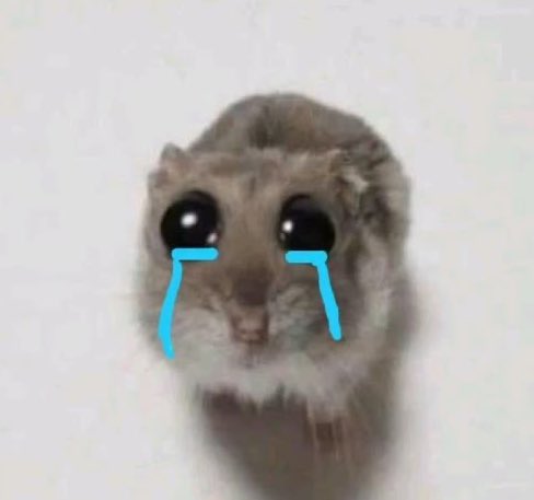 The hamsterest hamster ever 🥹🥹