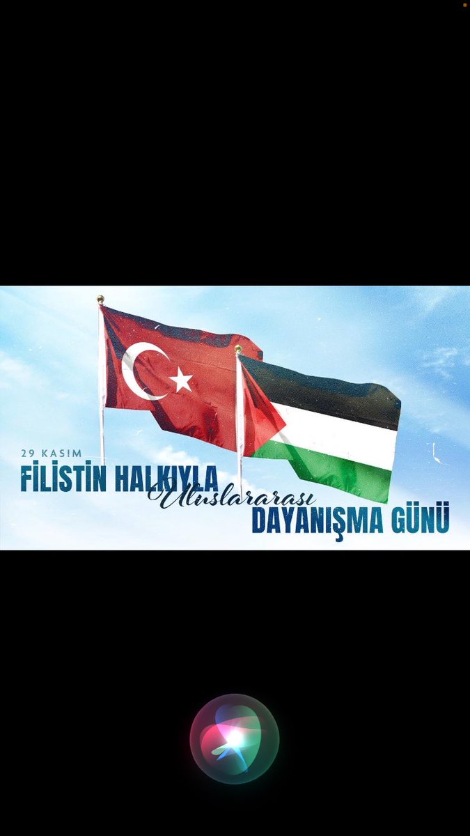 🇹🇷 🤲 🇵🇸