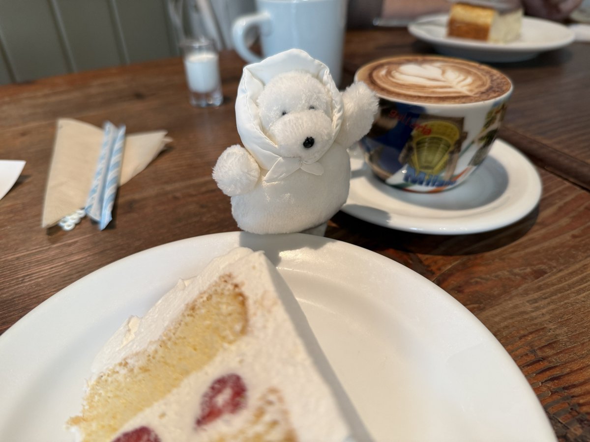 たまものさんに、ケーキの嗜みかたを教示してもらいました🍰☕