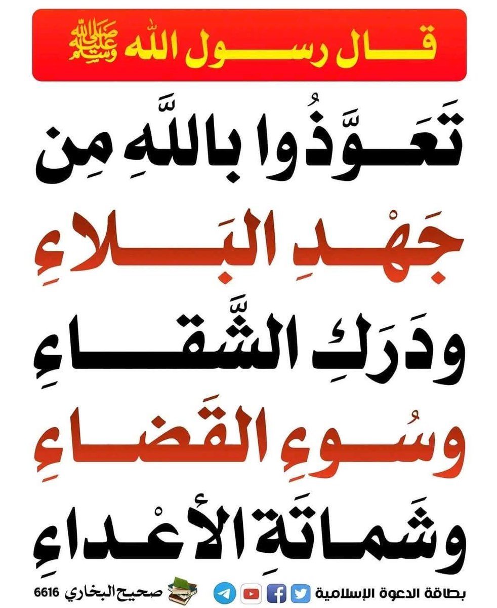 AlmradnyHmdy's tweet image. 