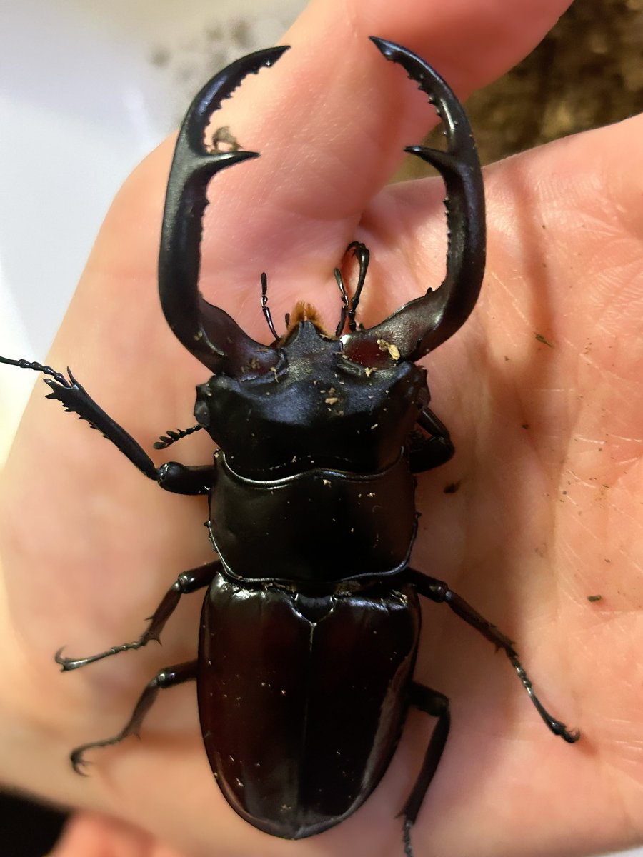 いなまるページ はなまる4月号 vol.280 | ebook5