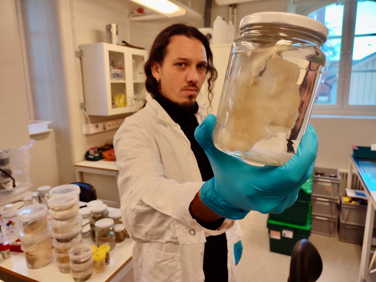 Julio A. Díaz tweet media