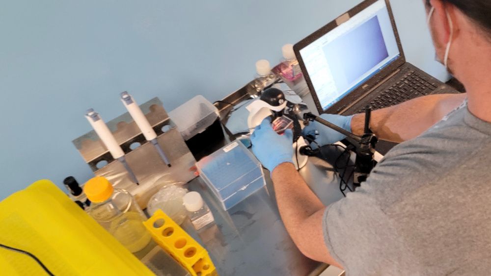 TheODINInc's tweet image. 3 Big Bio Discoveries + Our Biggest Sale - mailchi.mp/the-odin/bioha…