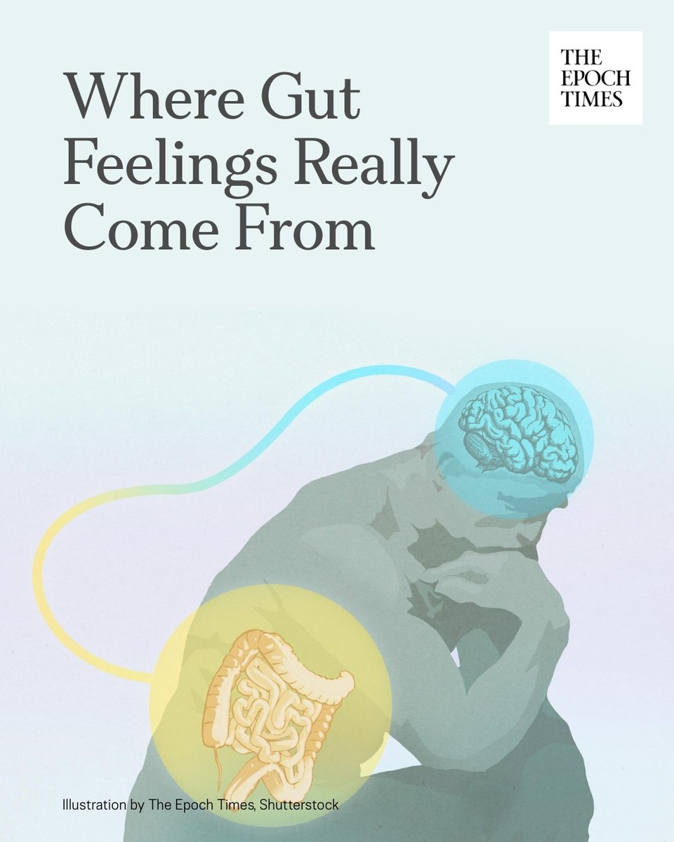 EpochTimes's tweet image. 💭 𝐖𝐡𝐞𝐫𝐞 𝐆𝐮𝐭 𝐅𝐞𝐞𝐥𝐢𝐧𝐠𝐬 𝐑𝐞𝐚𝐥𝐥𝐲 𝐂𝐨𝐦𝐞 𝐅𝐫𝐨𝐦

Intuition is a sophisticated form of intelligence that operates largely beneath conscious awareness.

Read here:
theepochtim.es/nd7hz9