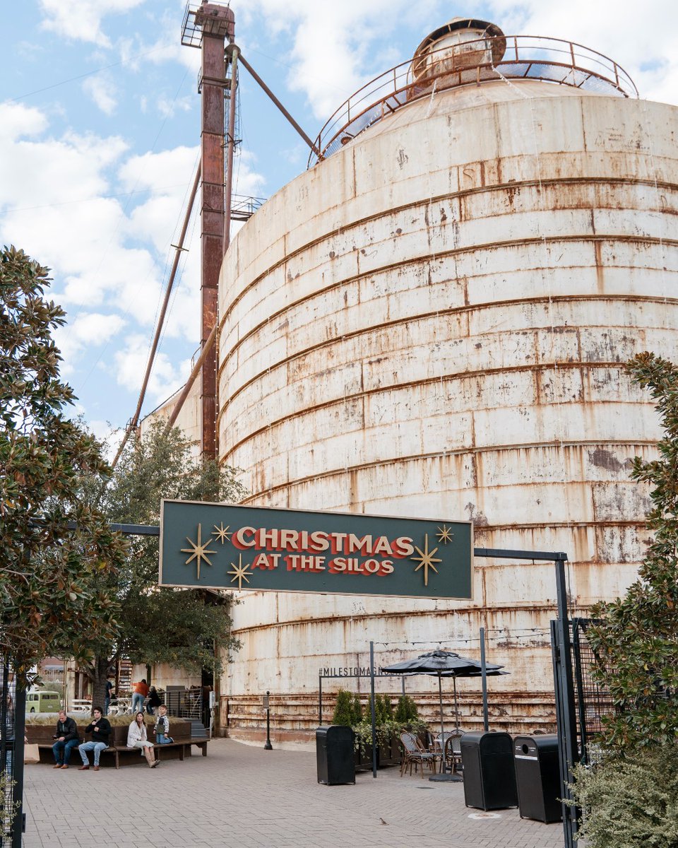 magnolia tweet media