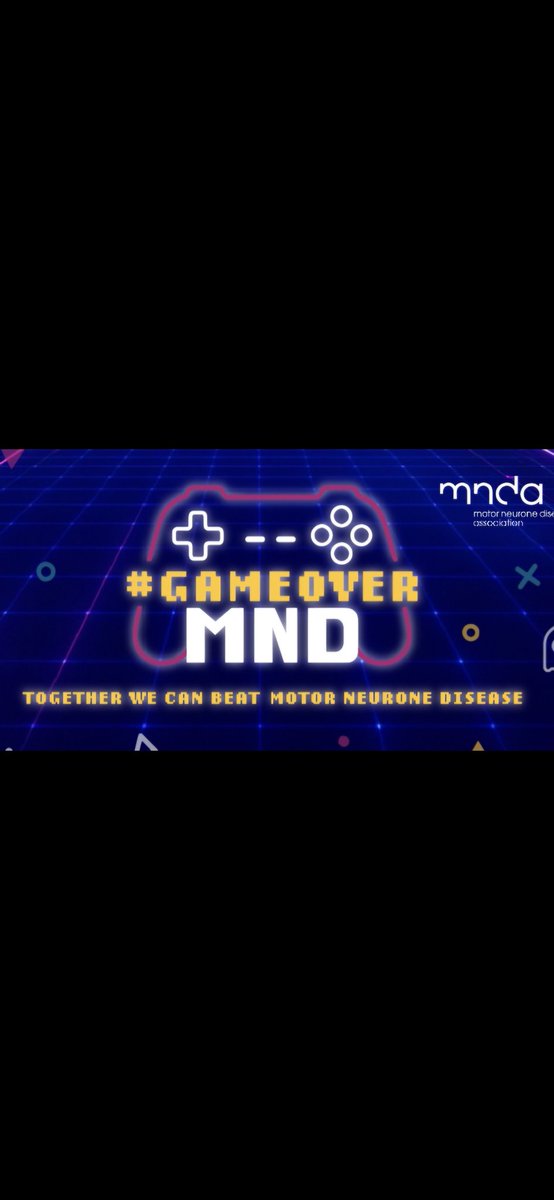 Noyesy Gaming tweet media