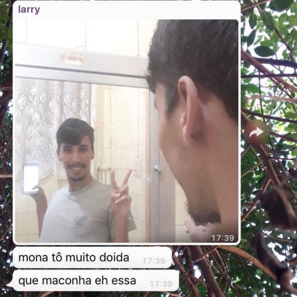 amaranterafs's tweet image. Eu haole