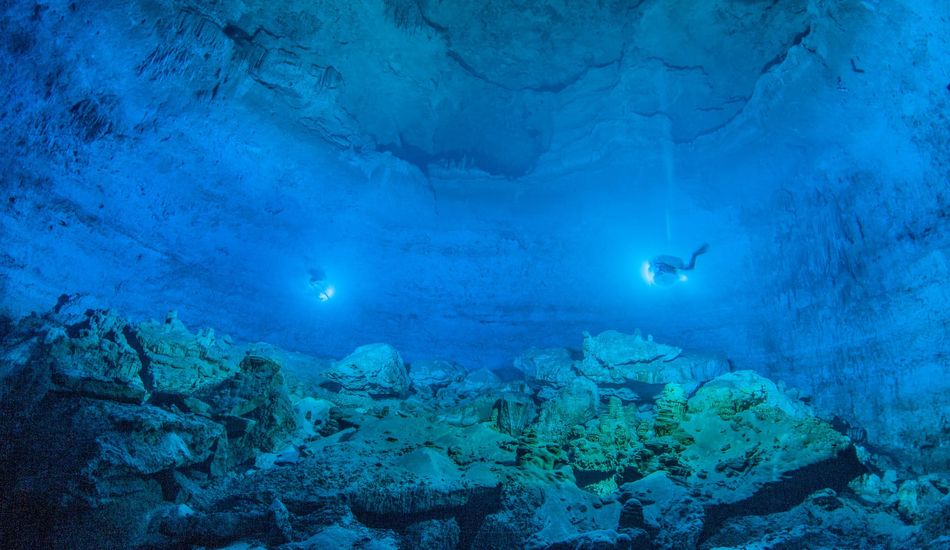 TechDropsNet's tweet image. Dive into the Yucatan&apos;s flooded caves, a time capsule filled with ancient human remains, extinct creatures, and secrets from a bygone era. #news  #Caves #Fossils #Archaeology #Yucatan
Link: techdrops.news/post/uncoverin…