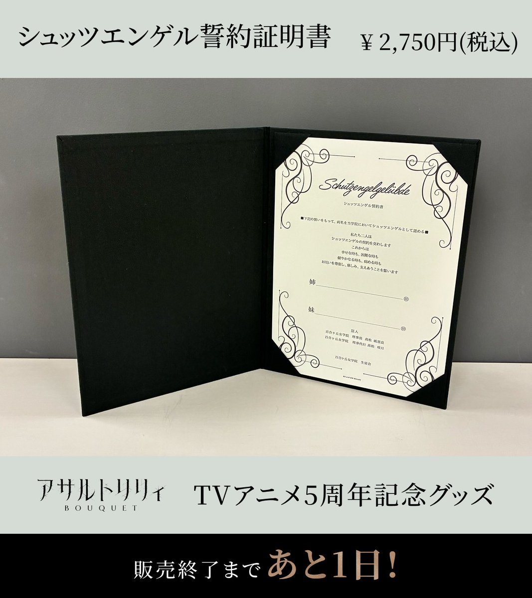 【中国公式限定】ウルリッヒ・フォン・フッテン　永恒誓約 成約証書　色紙セット アサルトリリィレコード公式 on X: 