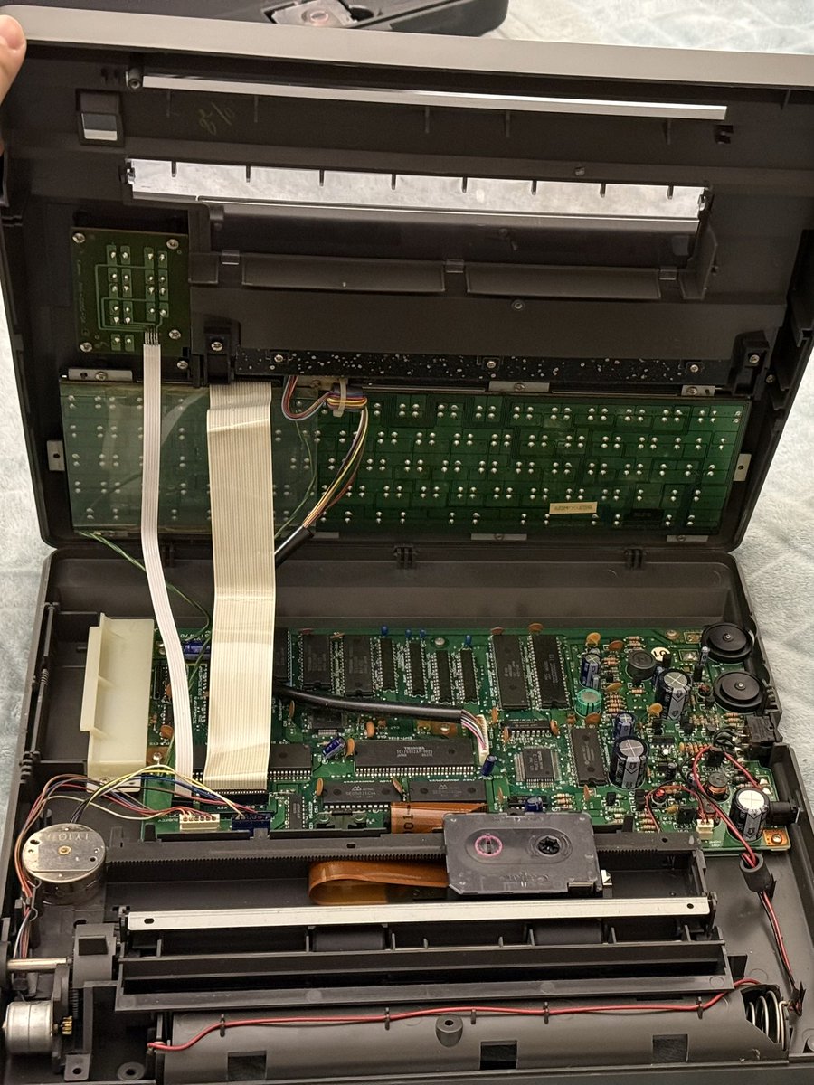 mcmaxmcmc tweet media