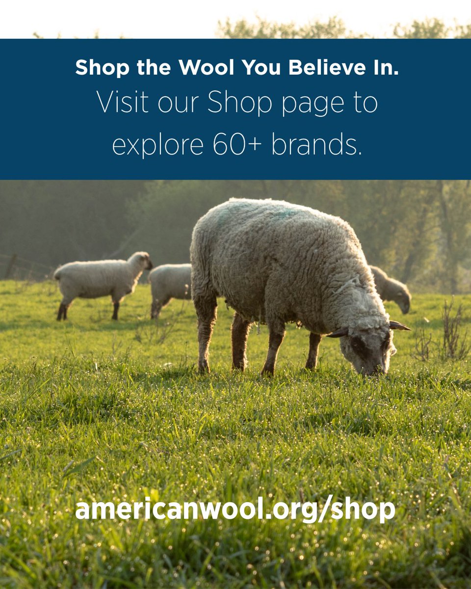 This Small Business Saturday, shop American wool and support the people who raise sheep, shear fiber, and handcraft the goods you wear and love.

Explore dozens of brands using American wool → americanwool.org/shop

#experiencewool