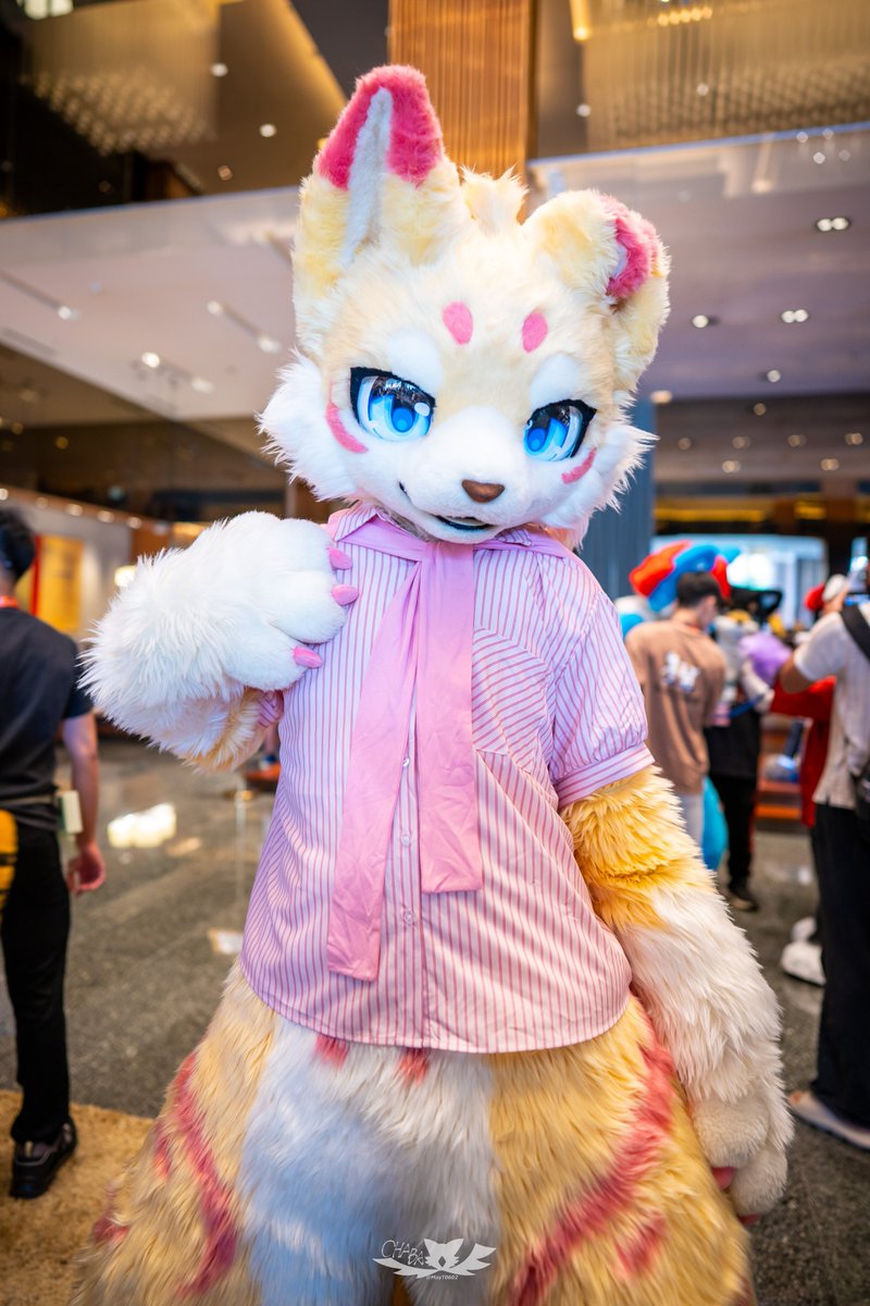 📸<a href="/MayT0602/">May (Chaba🦉) 🔜Furum</a>