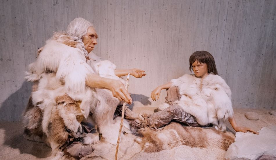 TechDropsNet's tweet image. Analysis of ancient bones reveals a gruesome tale of Neanderthals slaughtering and cannibalizing women and children from rival groups thousands of years ago. #news  #Neanderthals #Cannibalism #Prehistory #Violence
Link: techdrops.news/post/neanderth…