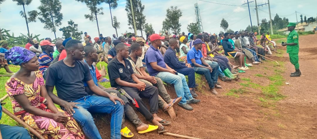 Jali Sector tweet media