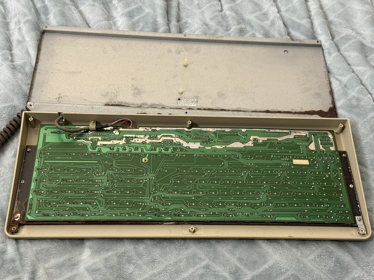 mcmaxmcmc tweet media