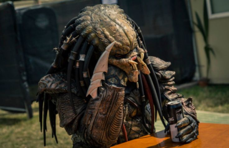 FalloutR12548's tweet image. Pido perdon a mis amadas compañeras de rol, estoy teeminando la uni y en la semana estoy llena de clases 

Lo siento por fsltar tanto y no responder roles y estar siempre cansada

Las quiero mucho

Pd: cambiare la cuenta a una female yautja