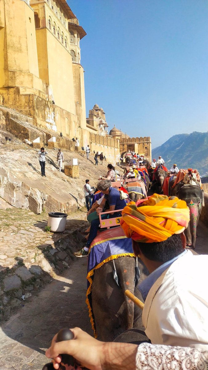 AMER FORT WITH ELEPHANT 🐘 🐘 🐘 🐘 🐘 RIDE, JAIPUR RAJASTHAN