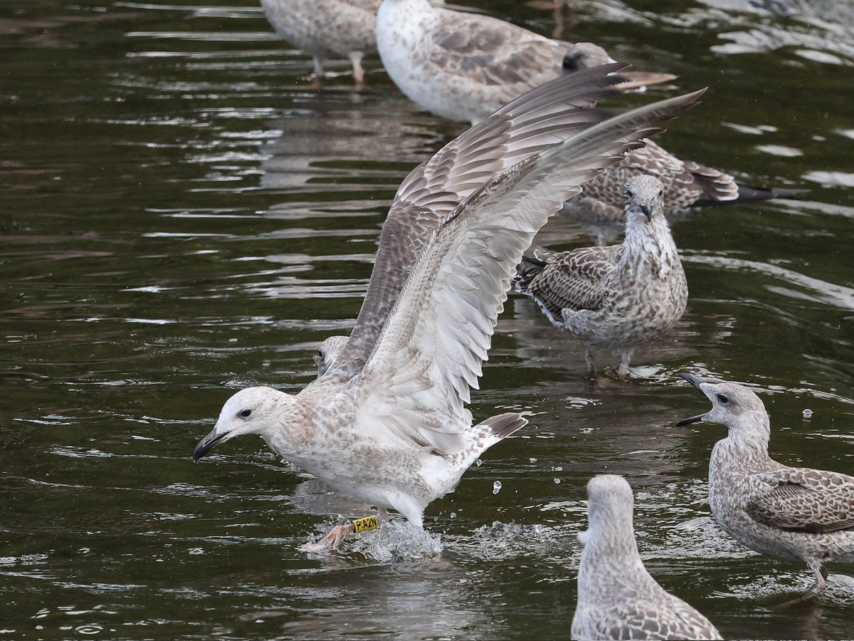 Andy Deighton tweet media