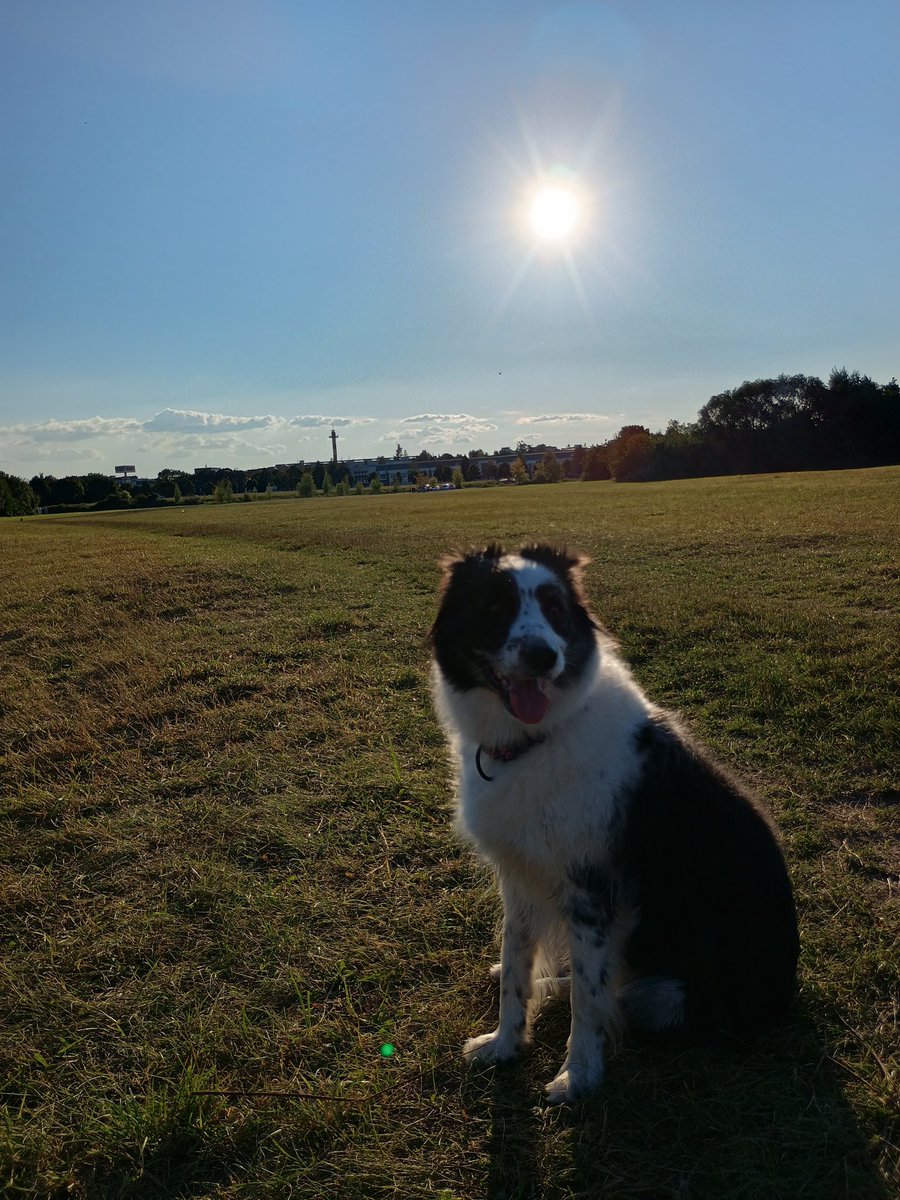 WayneinCZ's tweet photo. I'm in need of a little support, even if it's just for a coffee. I'm writing my first book, and would love some support. Either that or you can buy my cute dog some treats. #Coffee #buymeacoffee #writer #dog #support #helpmeimpoor https://t.co/67zyuFg5VL