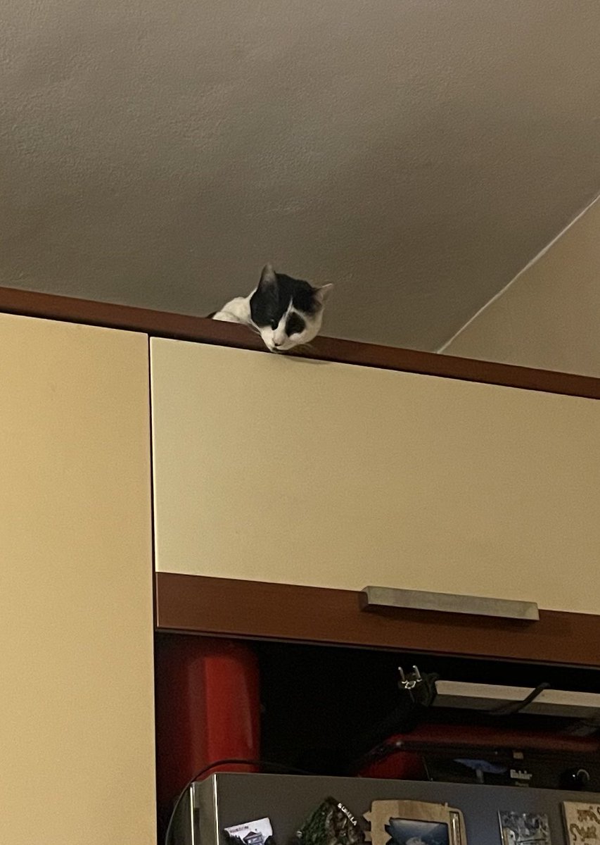 akşam yemekte yine karalahana olunca ben