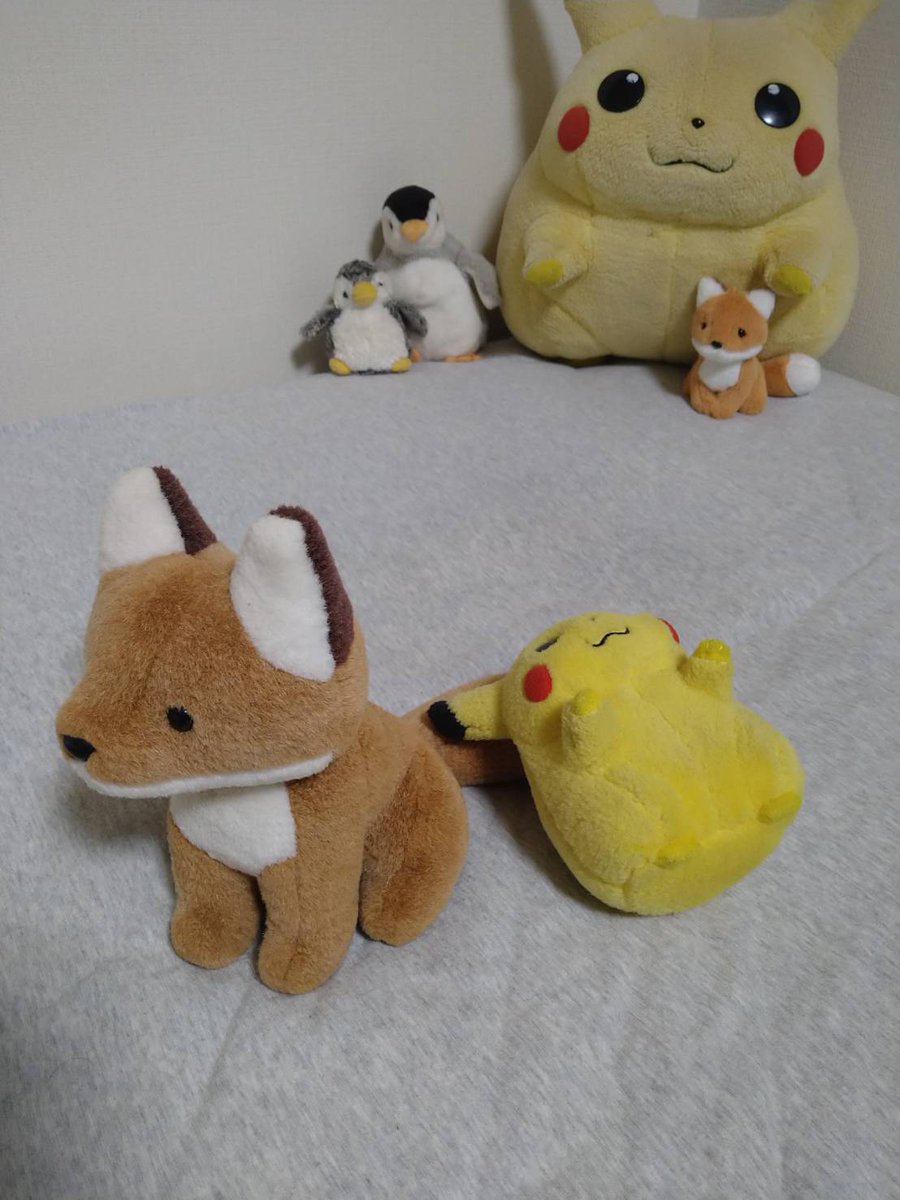 腕枕ならぬ尻尾枕

子ピカ「ｚｚｚ…」
キツネ「うごけない…」

#初期ピカ
#ぬいぐるみ