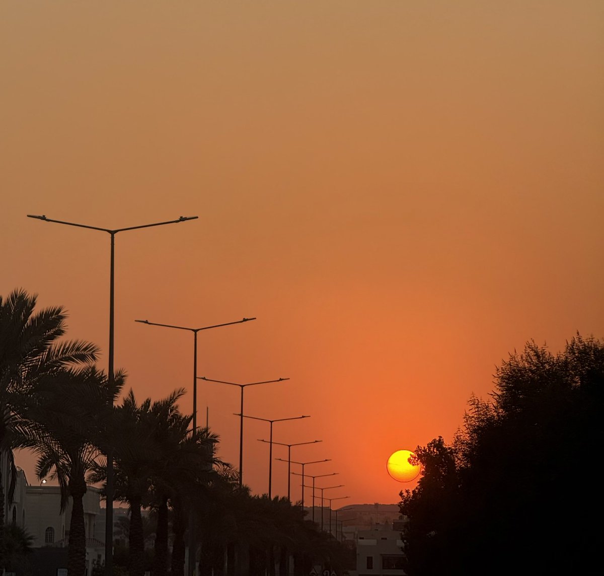 إن غبت "غيبه زوال الشمس" يم الغروب 
وإن جيت صبحٍ جبال طويق ما تحجبه .✨