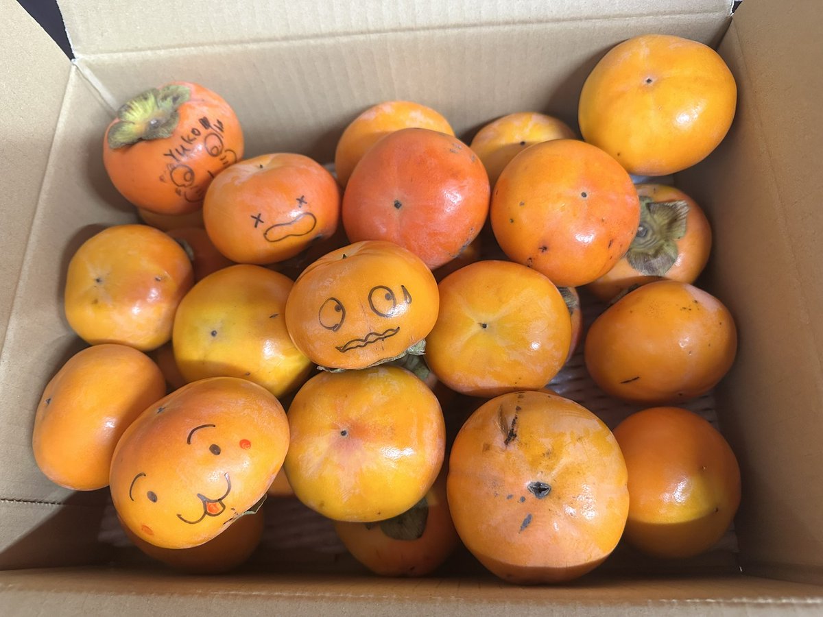 常連さんから
今年も沢山の柿をもらいました🫶

職場のみんなで分け合います🙋‍♀️