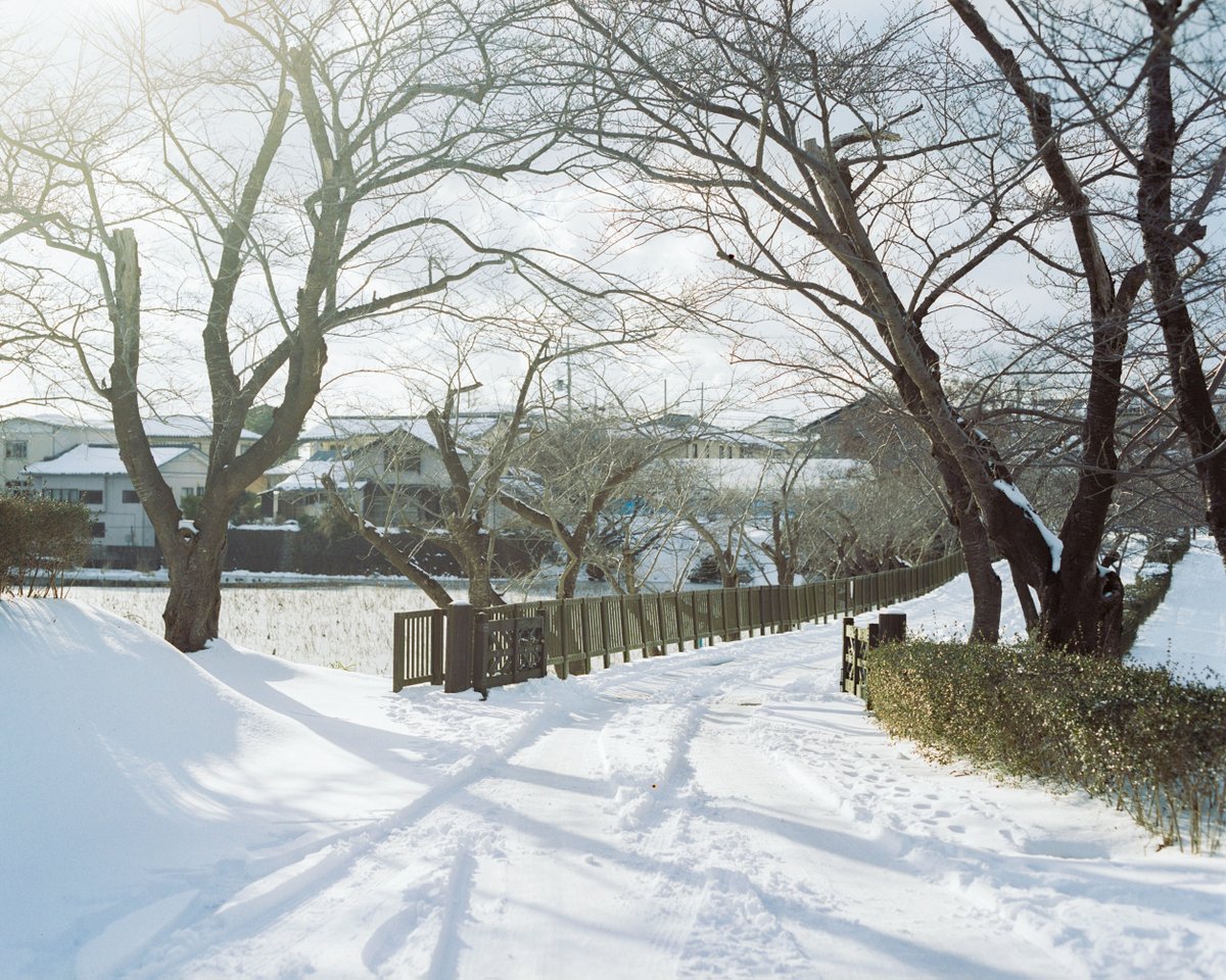 一年間かけて同じ場所で撮影した。 映画だからできることだった。