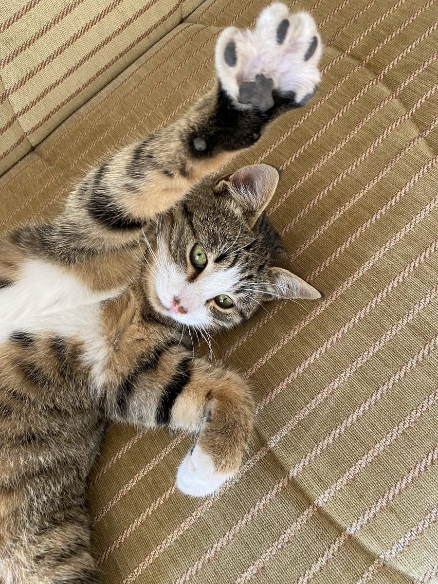 Keducuk 🤜🏻🤛🏻