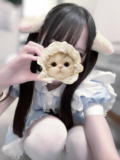 mellow sheepのツイート