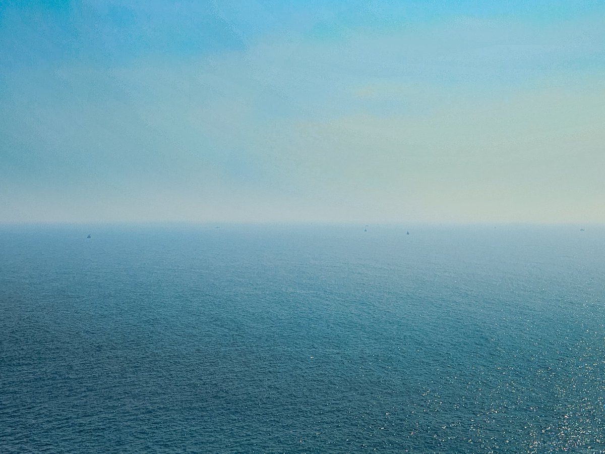 arthextic's tweet image. two blues pretending not to know each other