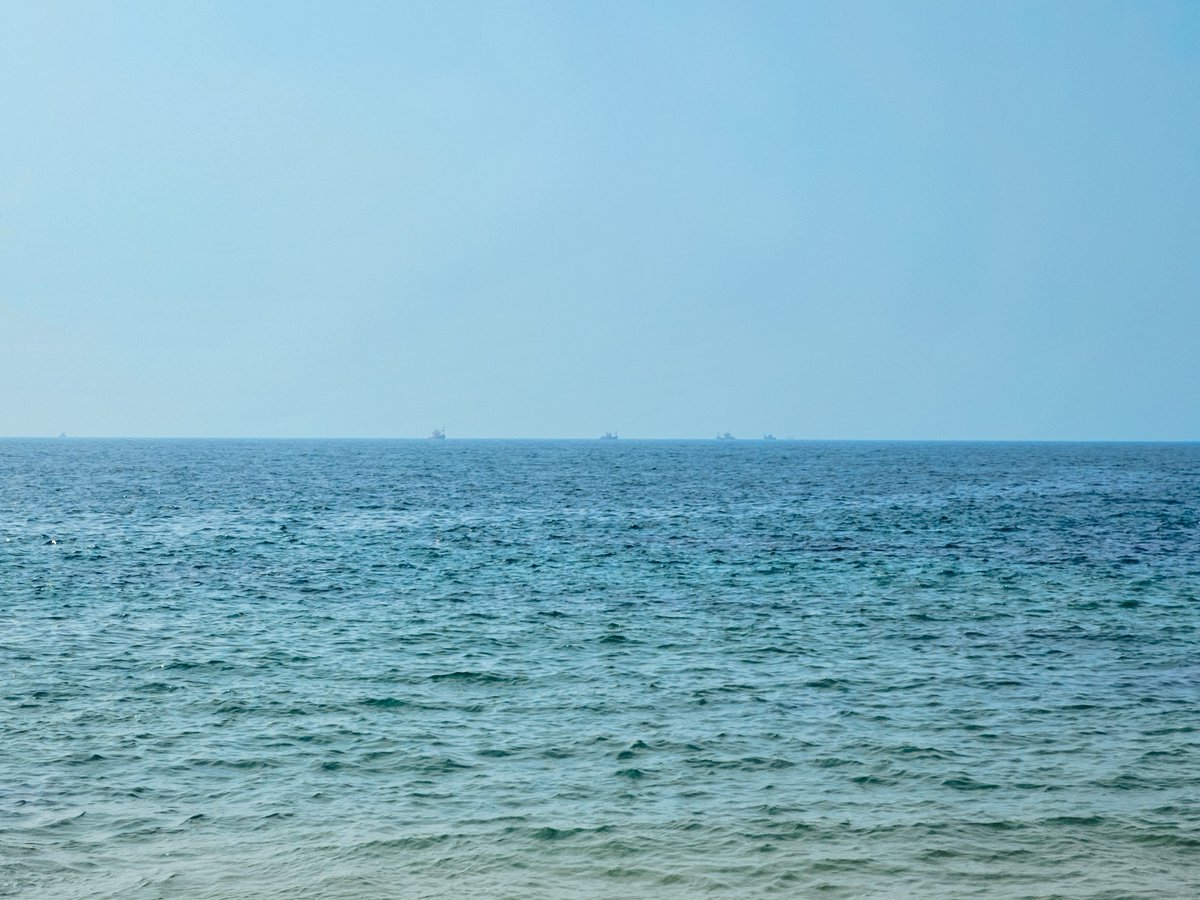 arthextic's tweet image. two blues pretending not to know each other