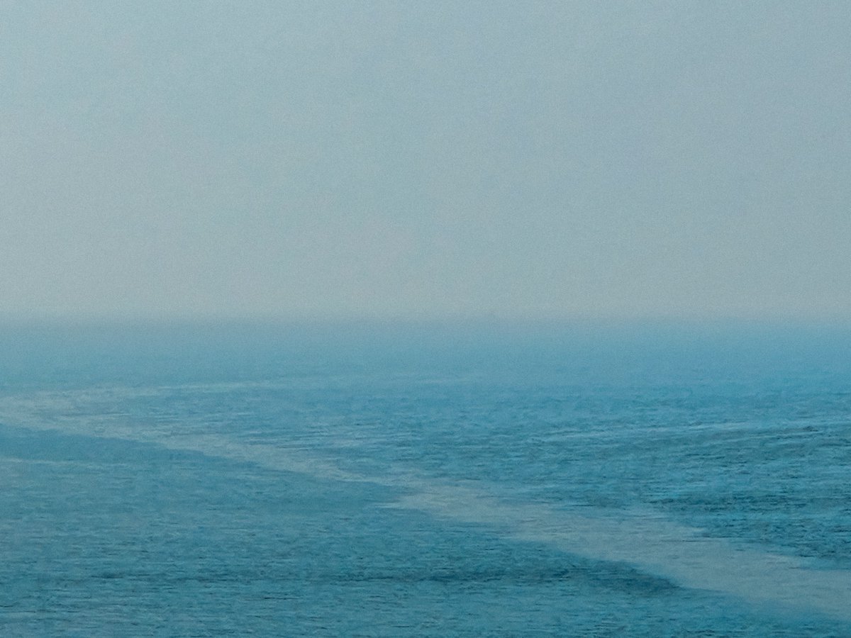 arthextic's tweet image. two blues pretending not to know each other