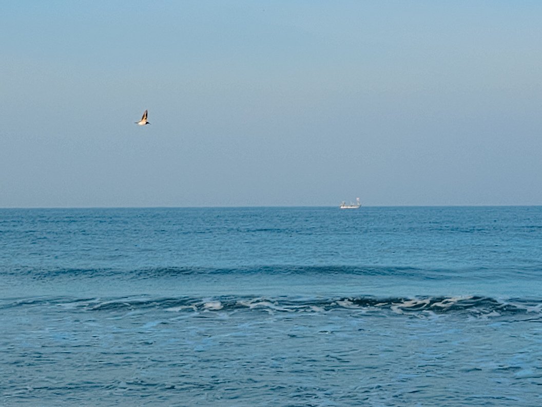 arthextic's tweet image. two blues pretending not to know each other