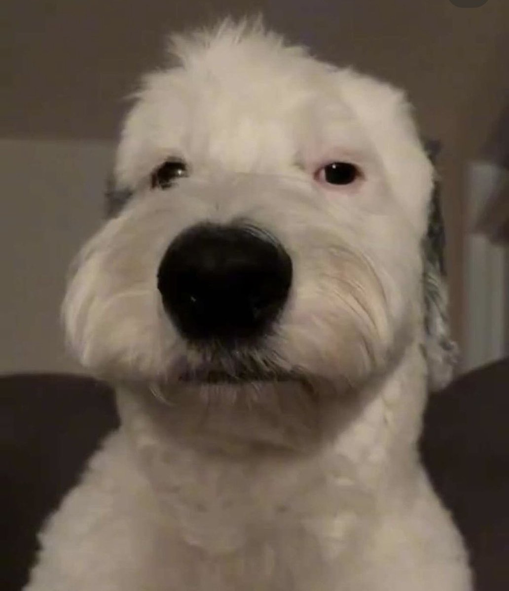 <a href="/YaPalArryn/">Pussy Greydaughter</a> Live Dort Reaction